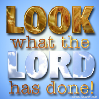 christian graphic Look what the Lord has done